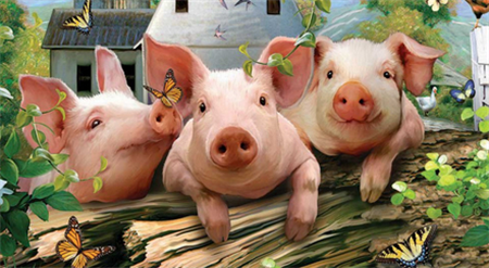 中国<a href=/zhu/ target=_blank class=infotextkey>养猪</a>网